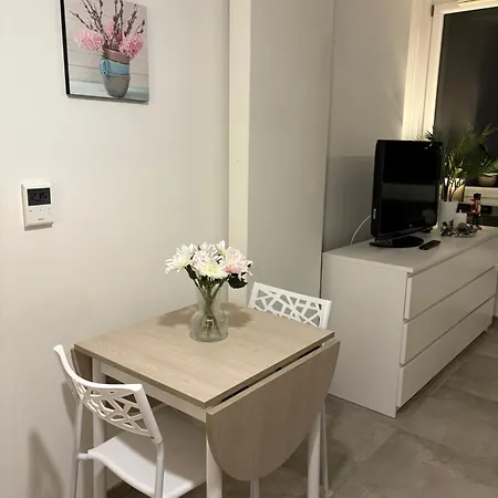 Petit Cosy Pres Du Centre * Straatsburg